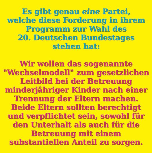 FDP Wechselmodell Parteiprogramm